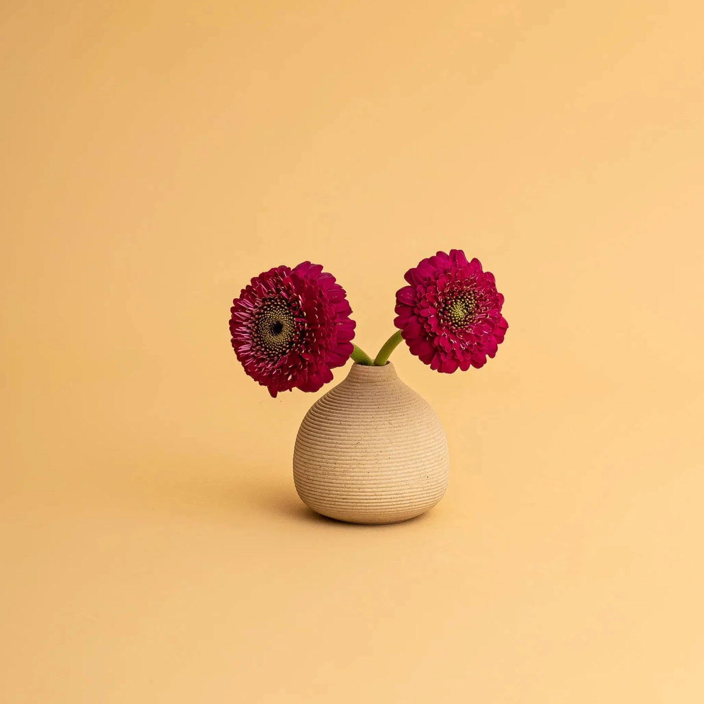 micro vase in sand with 2 red flowers
