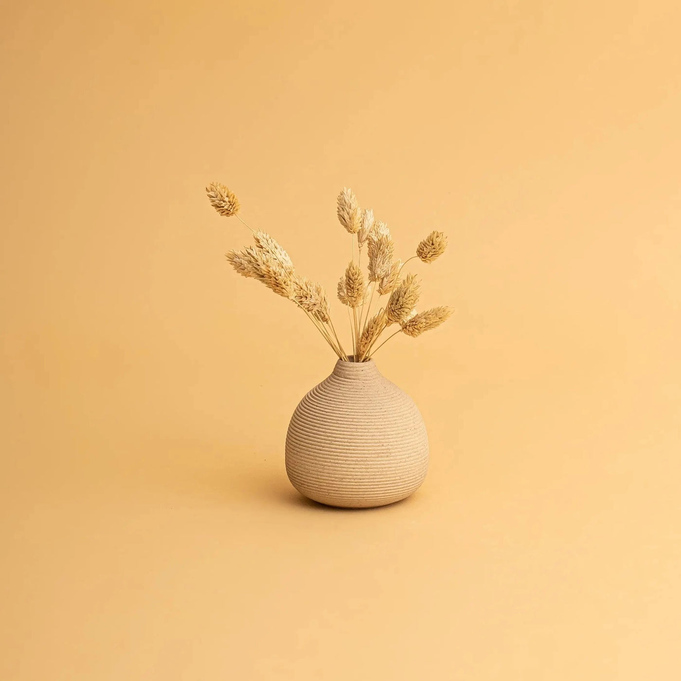 micro vase in sand with tan preserved flowers