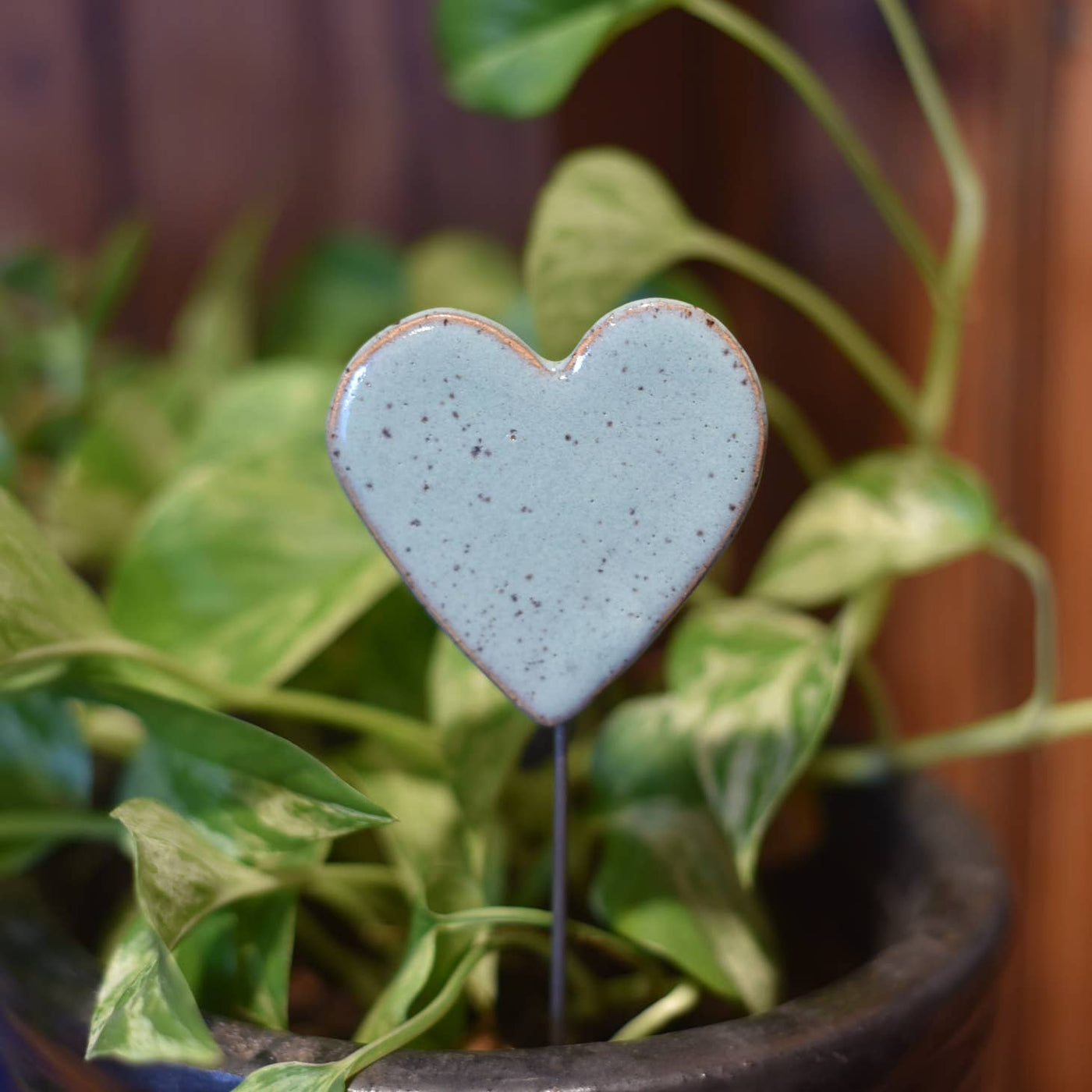 Ceramic glazed heart on steel stick, sticking out of a plant